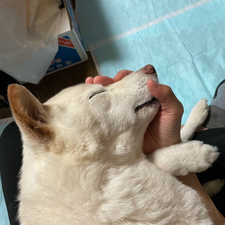 F3b24c9d ff0c 4e32 8f04 0fac6176628c 1635400266191