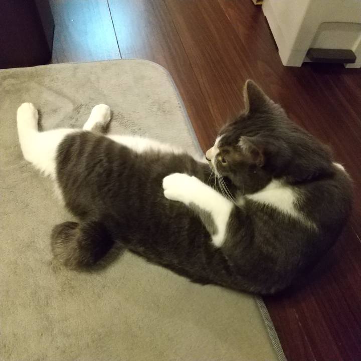 F3b271ae 9403 46a9 8d63 5089effcc176 1605734849795