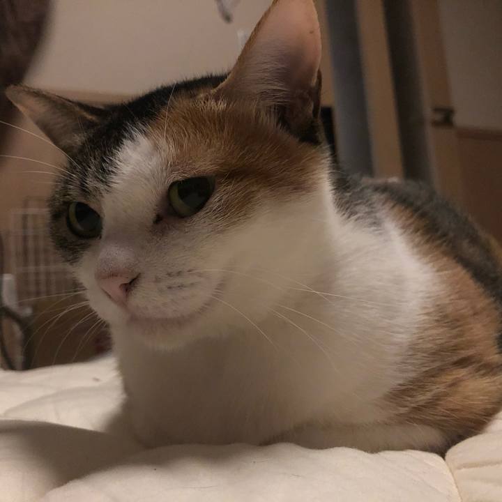 F3b28f68 312b 409d ae42 5bc062c04713 1607090188469