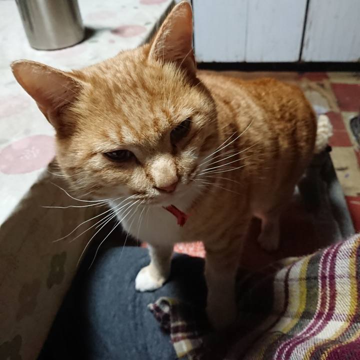 F3b2a900 865e 46a0 bfb8 49dbe9631552 1575834120601