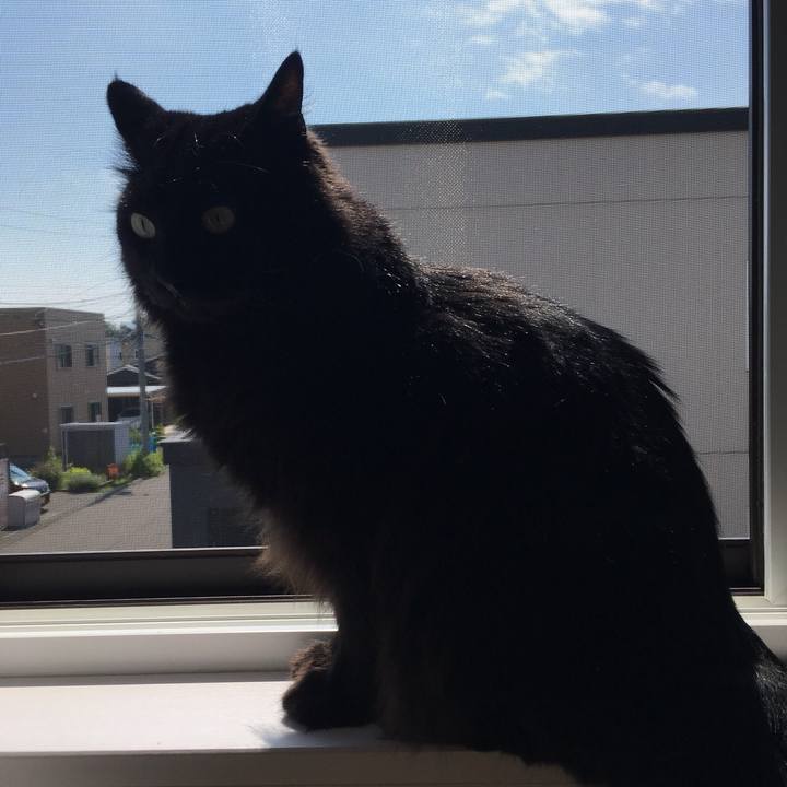 F3b2b4a2 0757 496a ab1b 5cd3b3d3719b 1529829170809