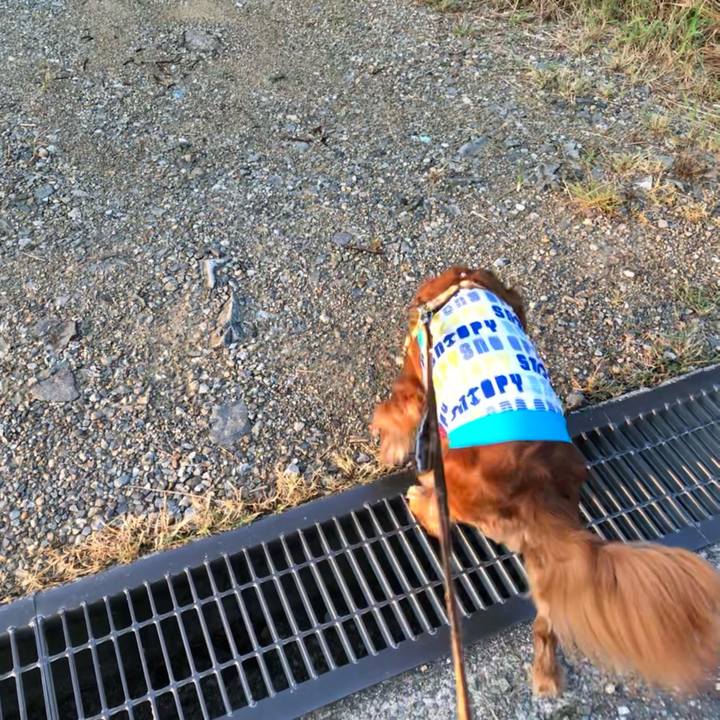 F3b2d52c 25b5 4b74 b94e 3fae0da9bc7f 1627769579646