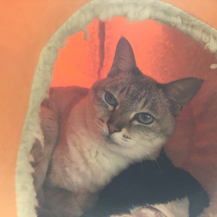 F3b2e61c ff79 485f 8e6c 20d749e3e859 1515558788636