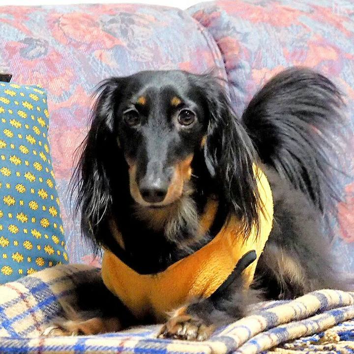 F3b2f606 acd6 4043 a4c1 85b97f29d472 1518399881153