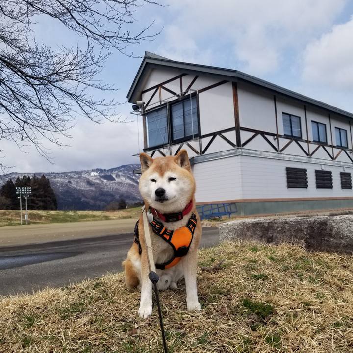 F3b31518 9af5 49bf b089 fcecb5ce045e 1712198831886