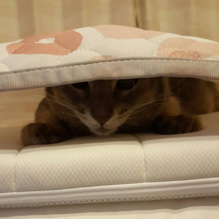 F3b319c5 cff5 4195 8624 f64dfa681cf4 1571229788936