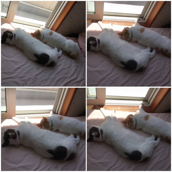 F3b3342f b510 4bb5 af19 07b1c3399e8a 1588823913920