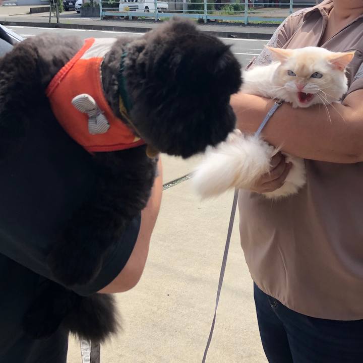 F3b34724 12b8 4f33 b155 270e1af41557 1625916722912