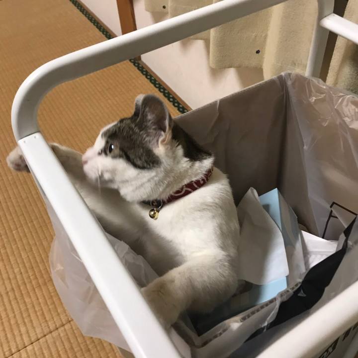 F3b34a9a 5900 4de1 b0fc 2006a3912342 1551272787903