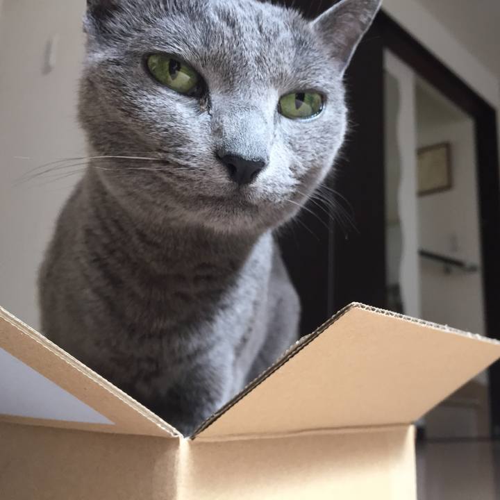 F3b34adb 3def 4b9a 93d6 ce30e34312af 1558479811112