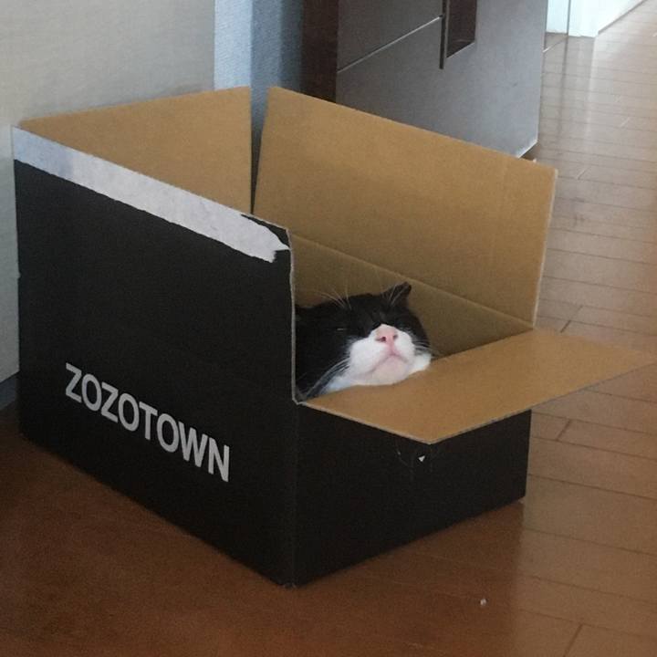 F3b36ee7 635e 4ec7 9d65 22aa8a66b429 1588397121296