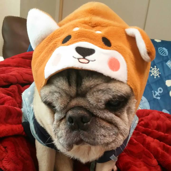 F3b39721 ee2b 4072 bed5 83321de31638 1515317740403