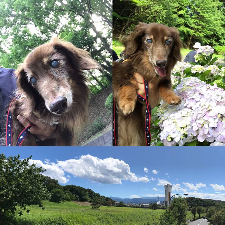 F3b3d52f 5e95 4828 b37b 33c0a41537b0 1560729000516