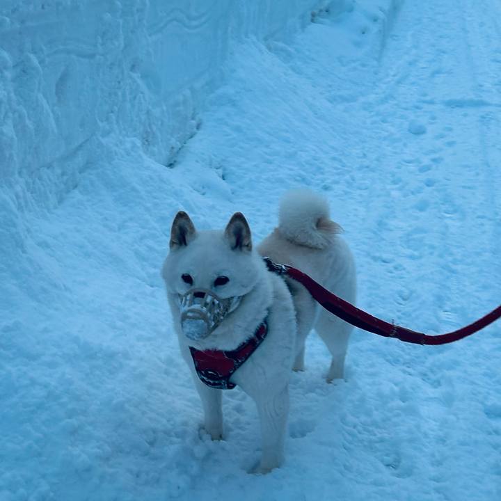 F3b3f34f a01c 4606 81a4 e0ca686e0c08 1706741106196