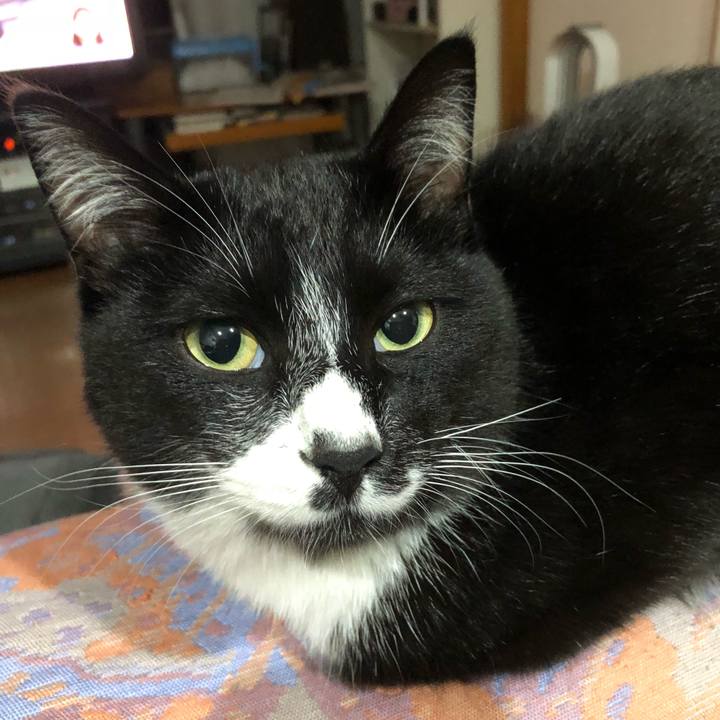 F3b40a12 356b 4241 9ad1 ba13f13a1db9 1523245496260