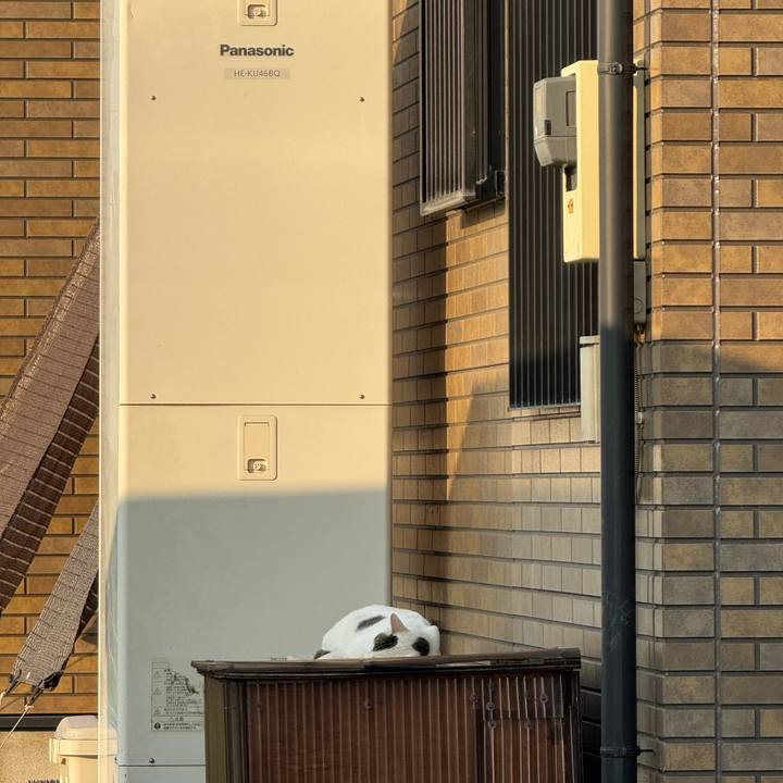 F3b41605 0395 4198 aa0b b52e3b9bf392 1755570009736