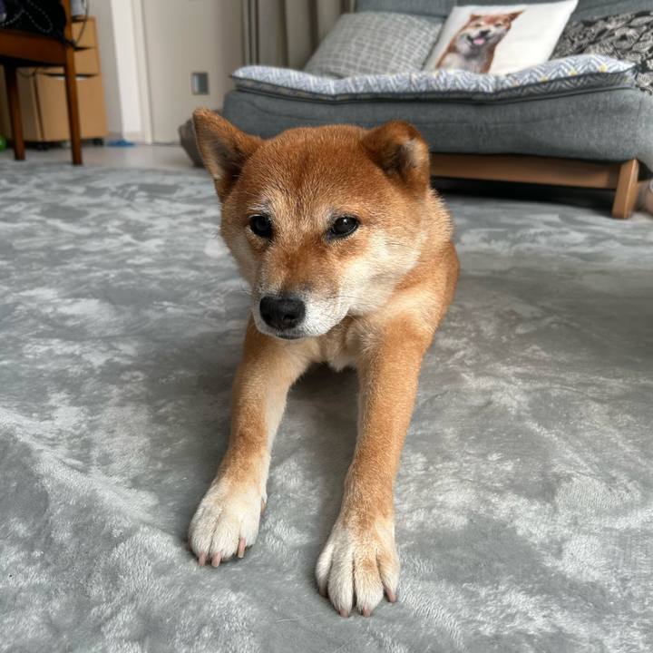 F3b42628 e7dd 44bd bc94 3787d491d7f5 1758929359805