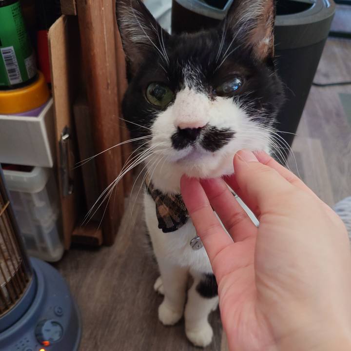 F3b43370 d5e8 4741 93da 27aa87ca037a 1765198016022