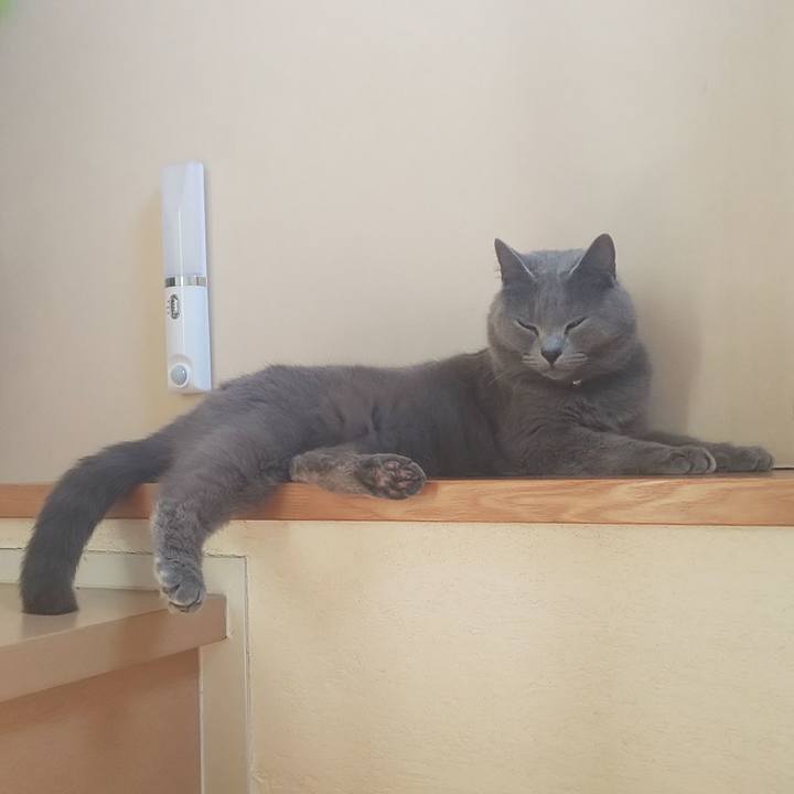 F3b48bdd b6c2 49b4 92c2 f628790d971f 1560919849299