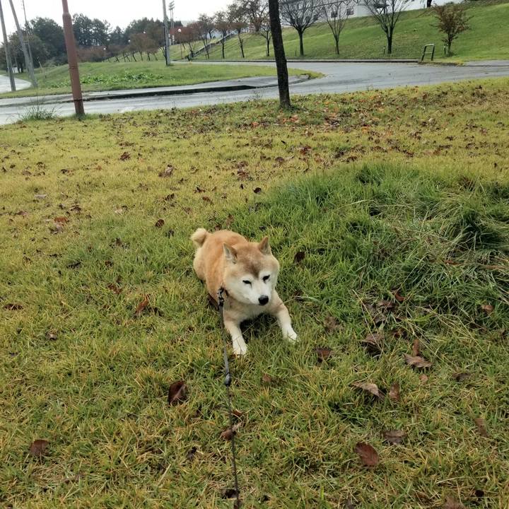 F3b48f21 da9b 4c55 b2c7 c063f7e125c2 1730088200043