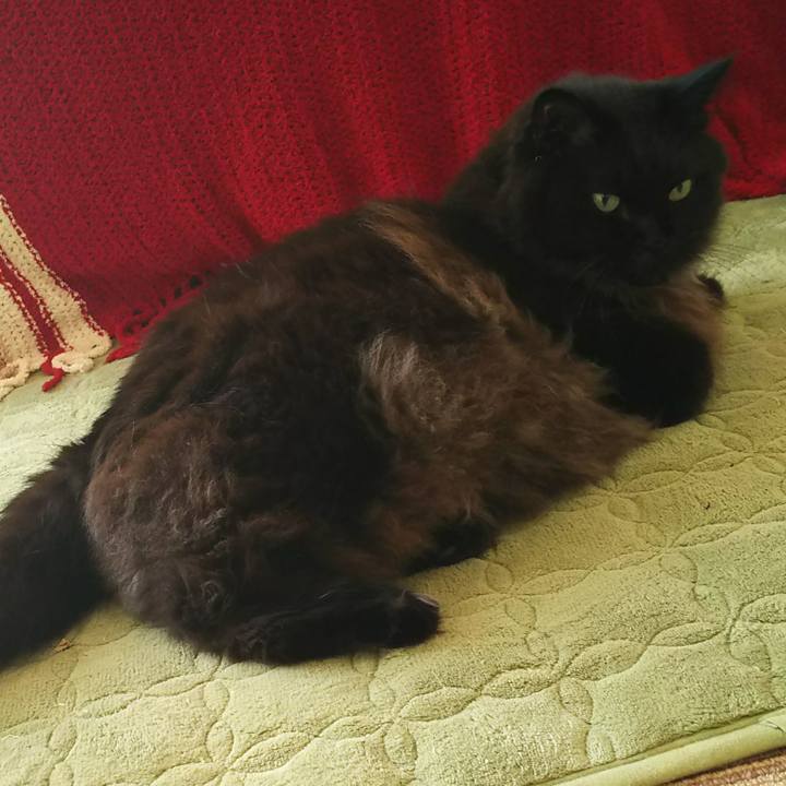 F3b4d8f8 d250 4f14 919e 7ffb0a5e0216 1509664027074