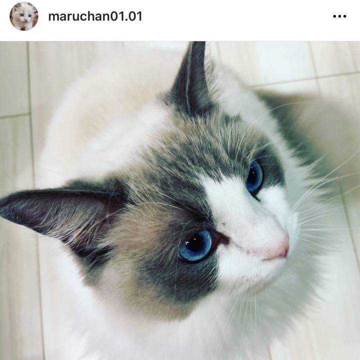 F3b4eec8 9bb3 43ff 8ce4 2f6f0cfd17ed 1646791342283