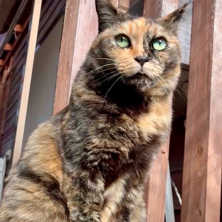 F3b55221 2a67 48bd a05c 622cbbaafe5c 1762743835686