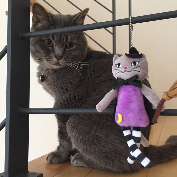 F3b56f7f 3698 4a71 8587 955bedb88181 1536881566587