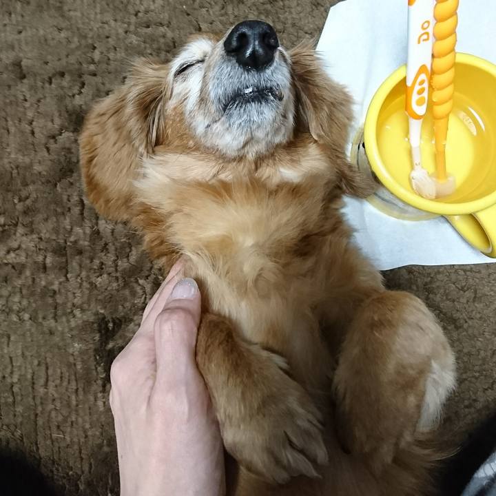 F3b5767d 52bc 4ed1 8e4c 93d37264d434 1515775256655