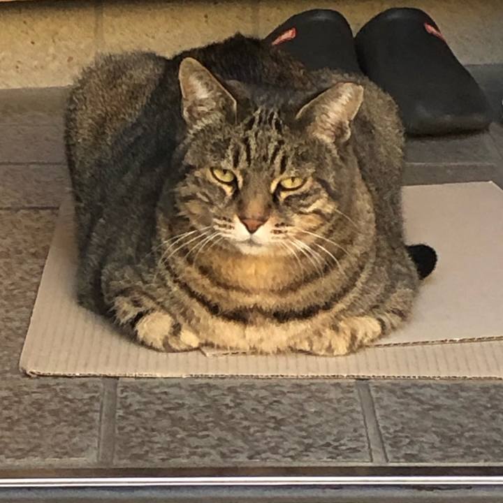 F3b59d9c cce5 4c40 8047 ffc95a2fbfd2 1605962511752