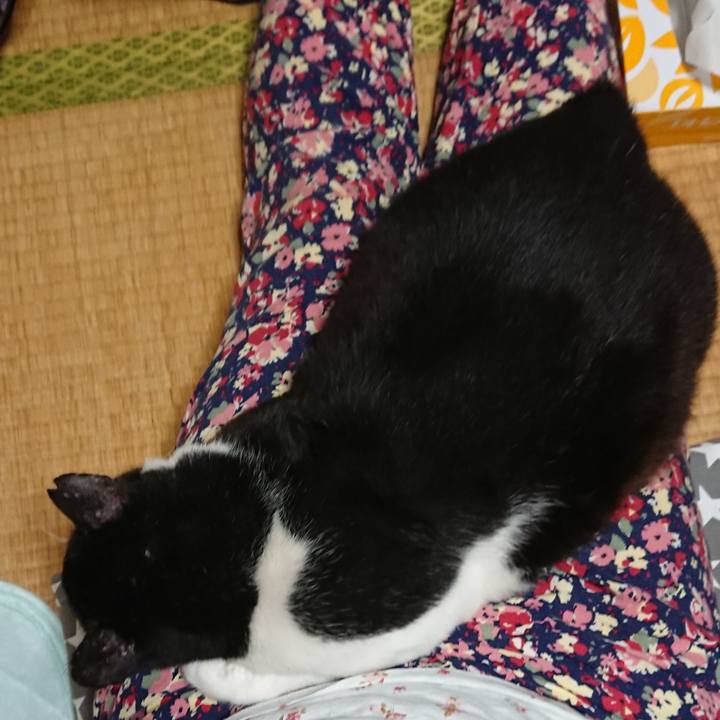 F3b5b86a 4ef9 4aed 9d87 7d4329aa7c22 1539093022718