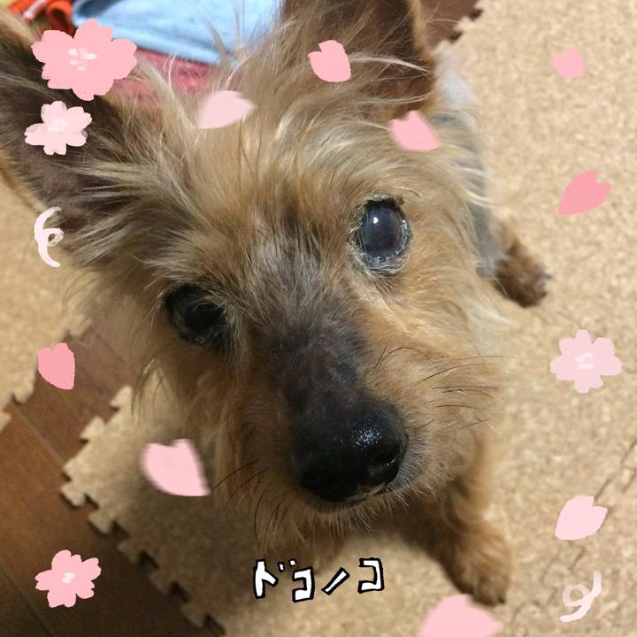 F3b5eb40 4e7e 4268 988f 051ec89ceeae 1744275356790