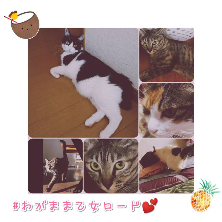 F3b5eeb9 5cd1 4e28 9841 79884eca0d90 1567820783645