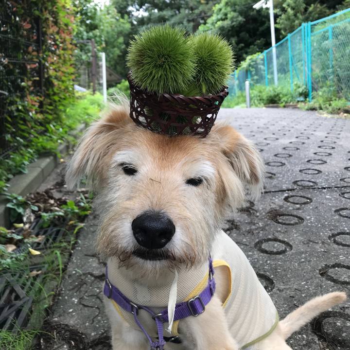 F3b63830 885b 4c9c 9d1b a8e6ece3e497 1595991231715