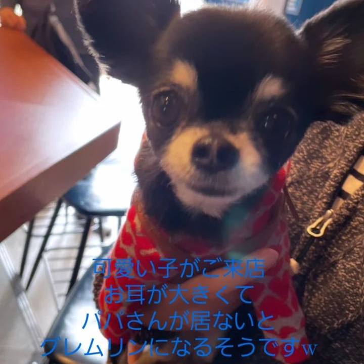 F3b69285 61bb 40c5 a641 6ac31575d553 1679105284127