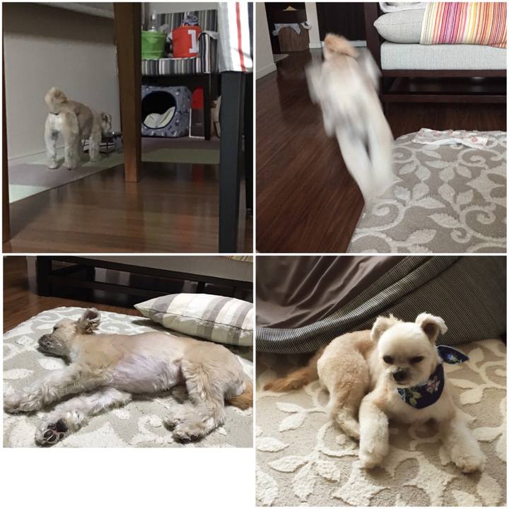 F3b6afe5 3dd9 4717 9a7d 6e82988e166b 1552720629141