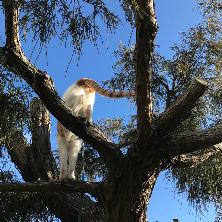 F3b6b49f 3792 46e9 be0f acef1f41ed86 1517984650215