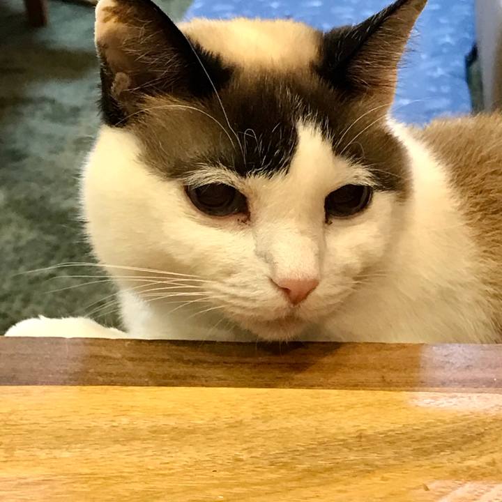 F3b7106a 2954 48e3 a4a8 e294f7c62338 1586396708347