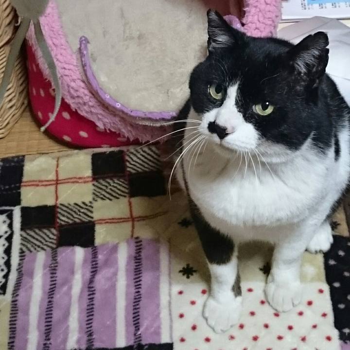 F3b7190e 2878 41c5 be86 c6cdbd9d50de 1523625084836