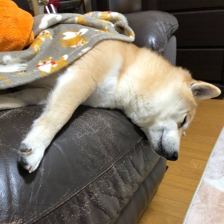 F3b74d72 a427 4f86 a1ad 69cbcfa00123 1548331143478