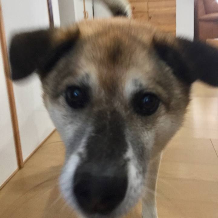 F3b7603e 79cd 467b b1d4 6045dc66839c 1561725009605