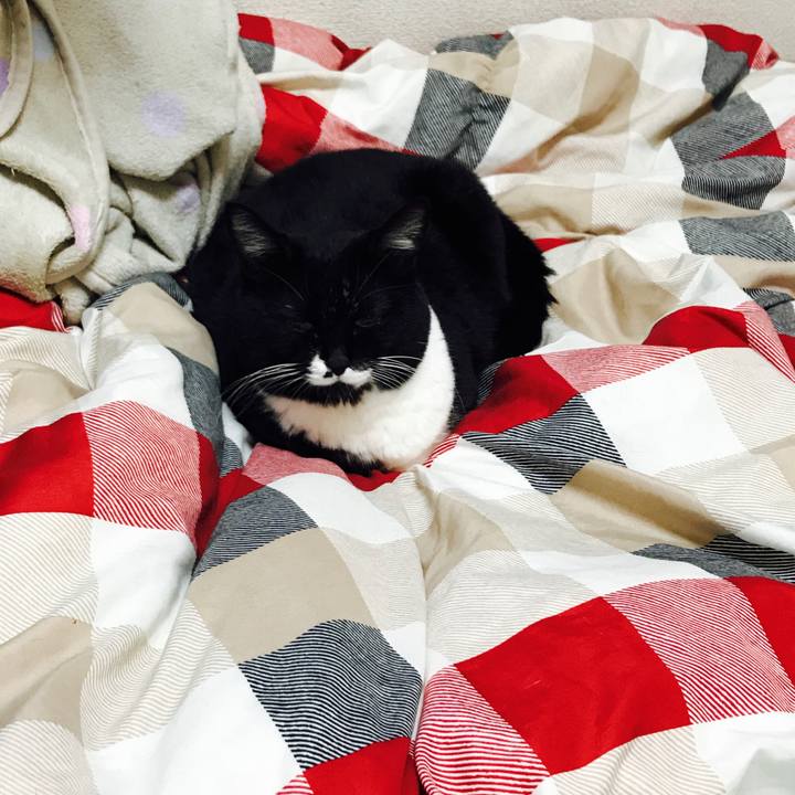 F3b766bd 2cd5 4038 8bbe 5f8577038842 1508105793088