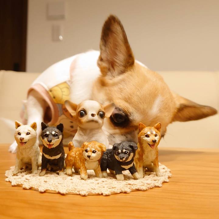 F3b768ad 2ffb 4c8f abbc 5c3c5847136e 1664270874679