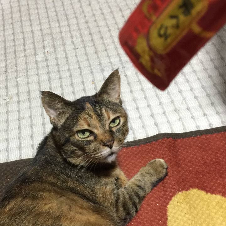 F3b796fa 8e4c 4b6a ada6 b626b5077a09 1516625215931