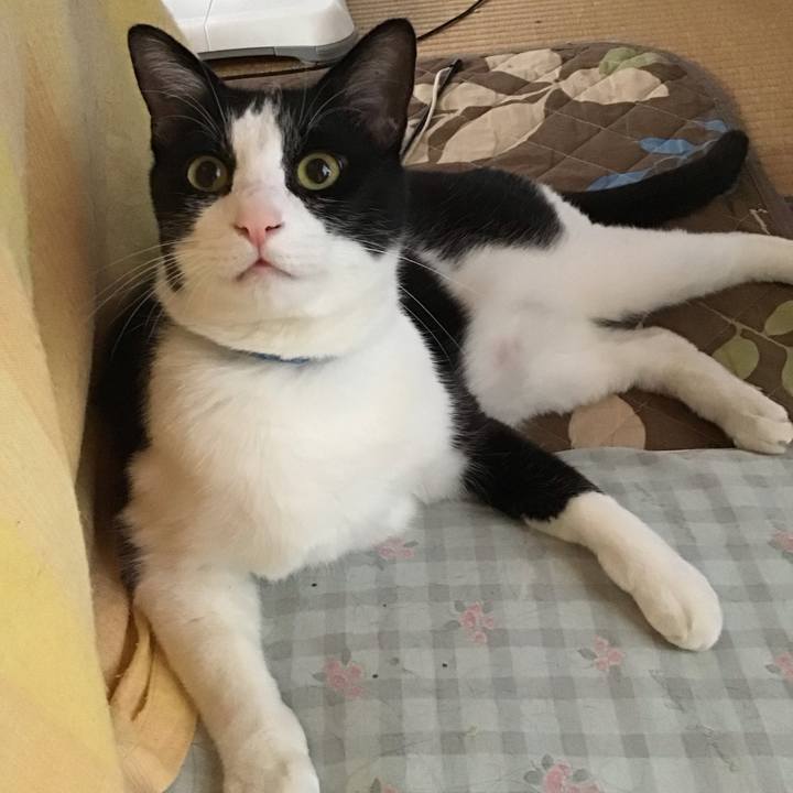 F3b7cdab 210b 4585 89a4 2a6b6787a60b 1685509754044