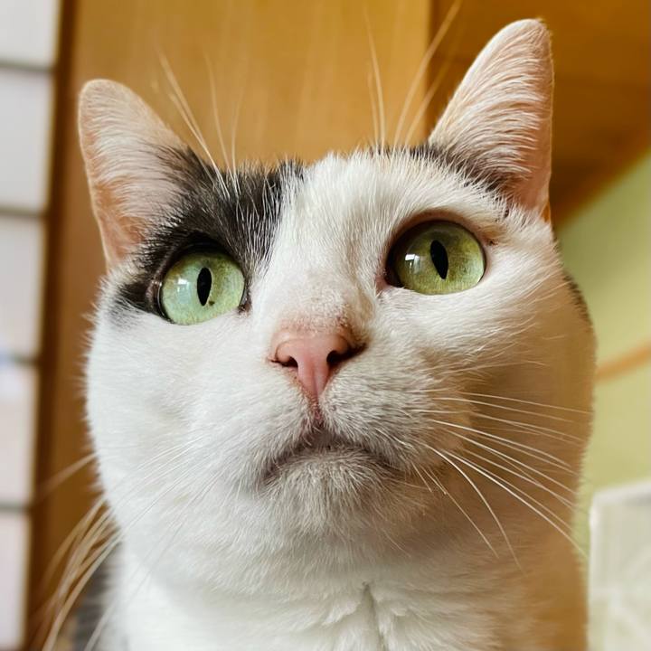 F3b7cdbf f181 44b3 9d59 4a7b26dca6b2 1652757143944