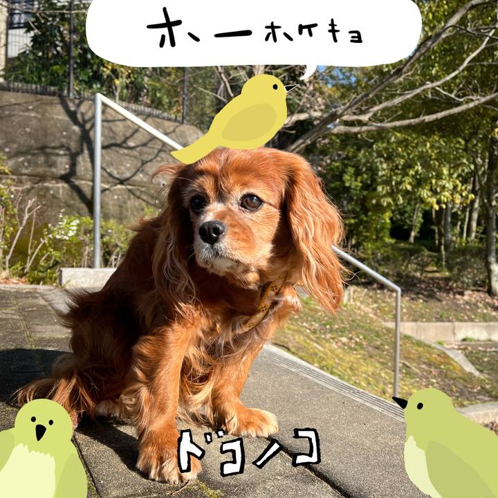 F3b7e43f d249 4a57 82ac 32b0b07dff98 1711492074808