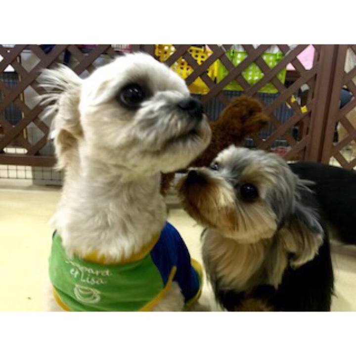 F3b7eb63 5ff9 4815 b084 8860d69b950f 1530704276580