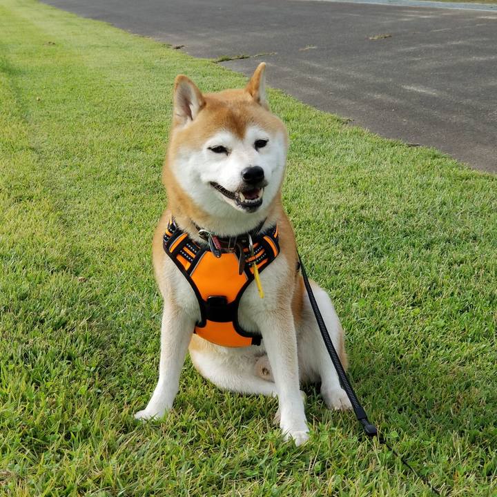 F3b816cb a100 4f0c a27b 100fa850a66b 1602331472001