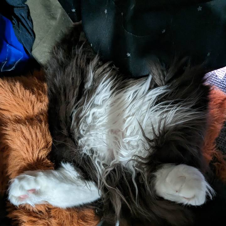 F3b81844 f97b 4bc7 bb21 9df81180135a 1684730221148